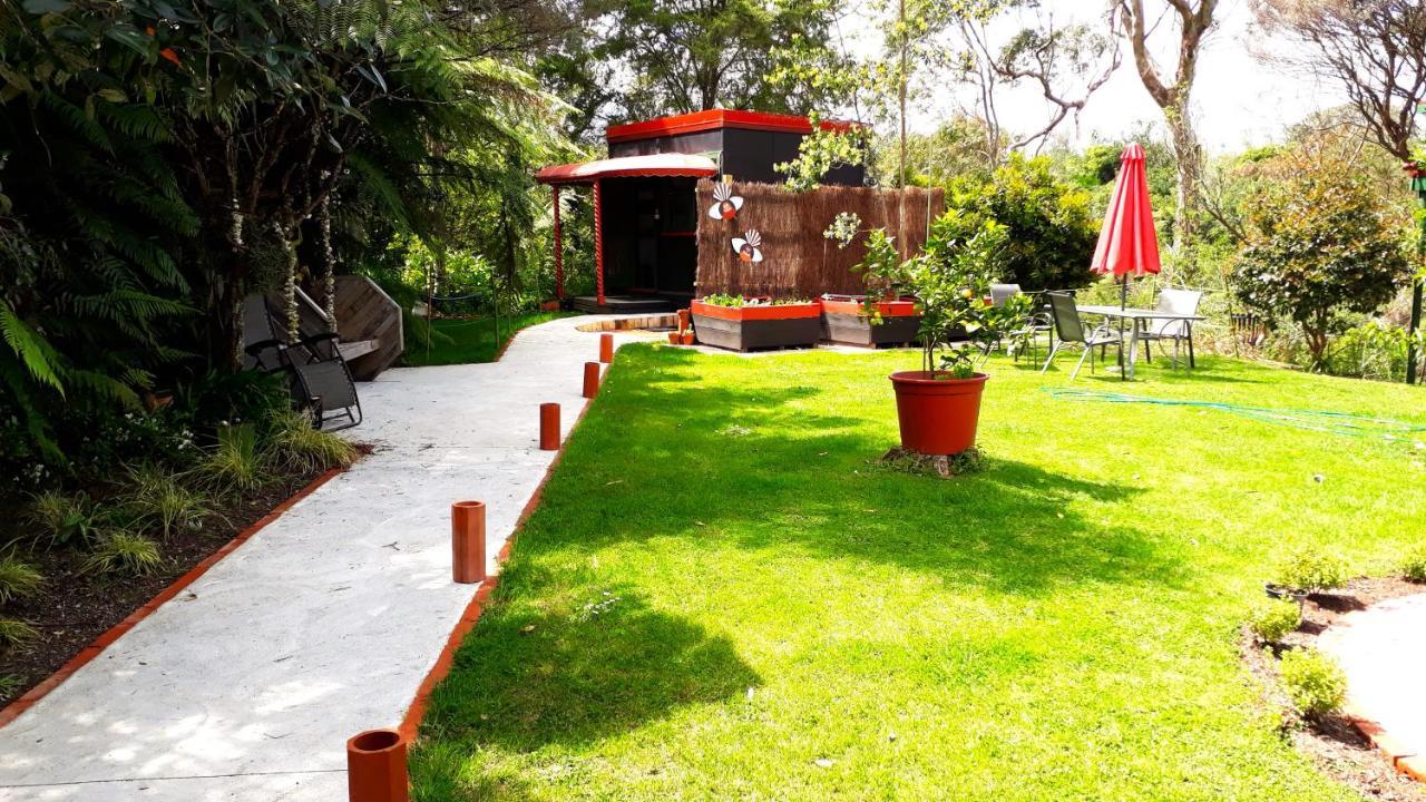 Quirky Woods - Glamping Cabins At Maketu מראה חיצוני תמונה