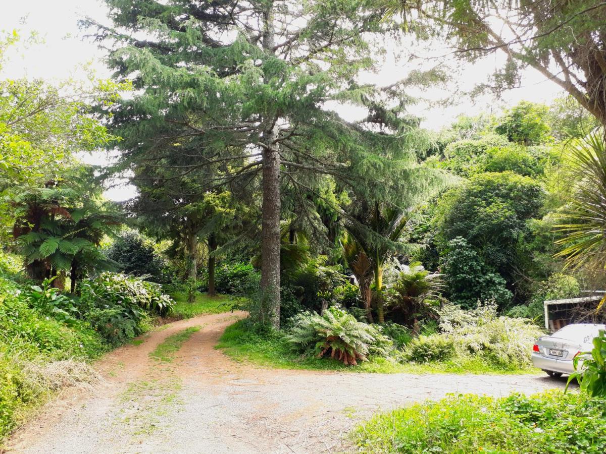 Quirky Woods - Glamping Cabins At Maketu מראה חיצוני תמונה