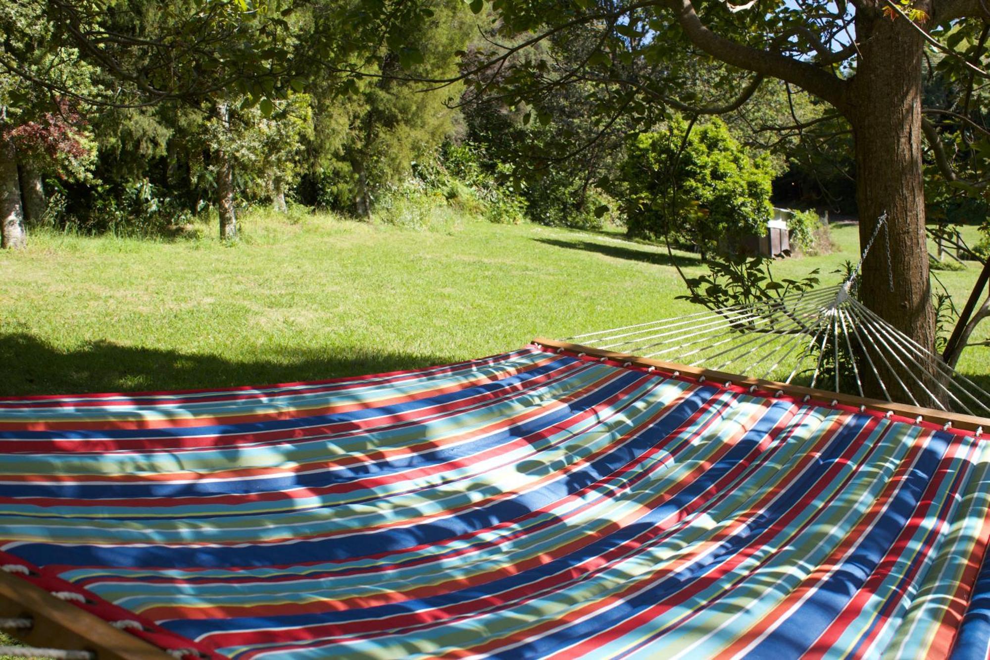 Quirky Woods - Glamping Cabins At Maketu מראה חיצוני תמונה